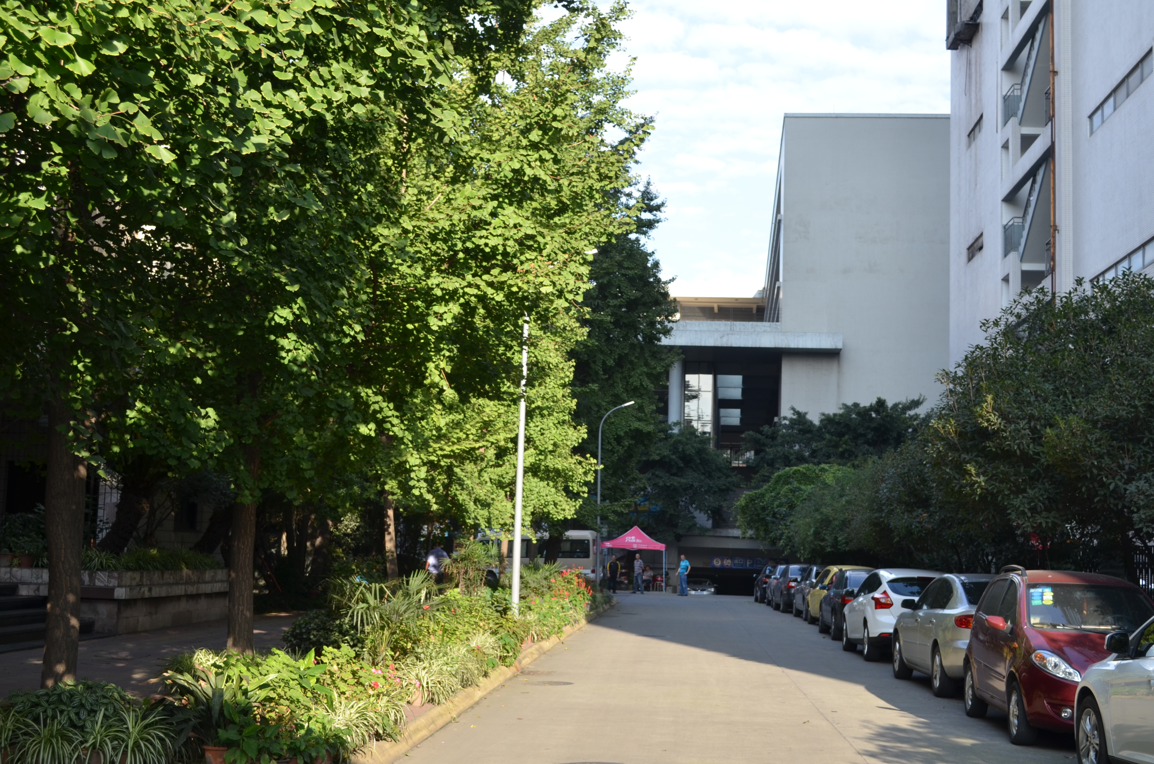 betway西汉姆联平台